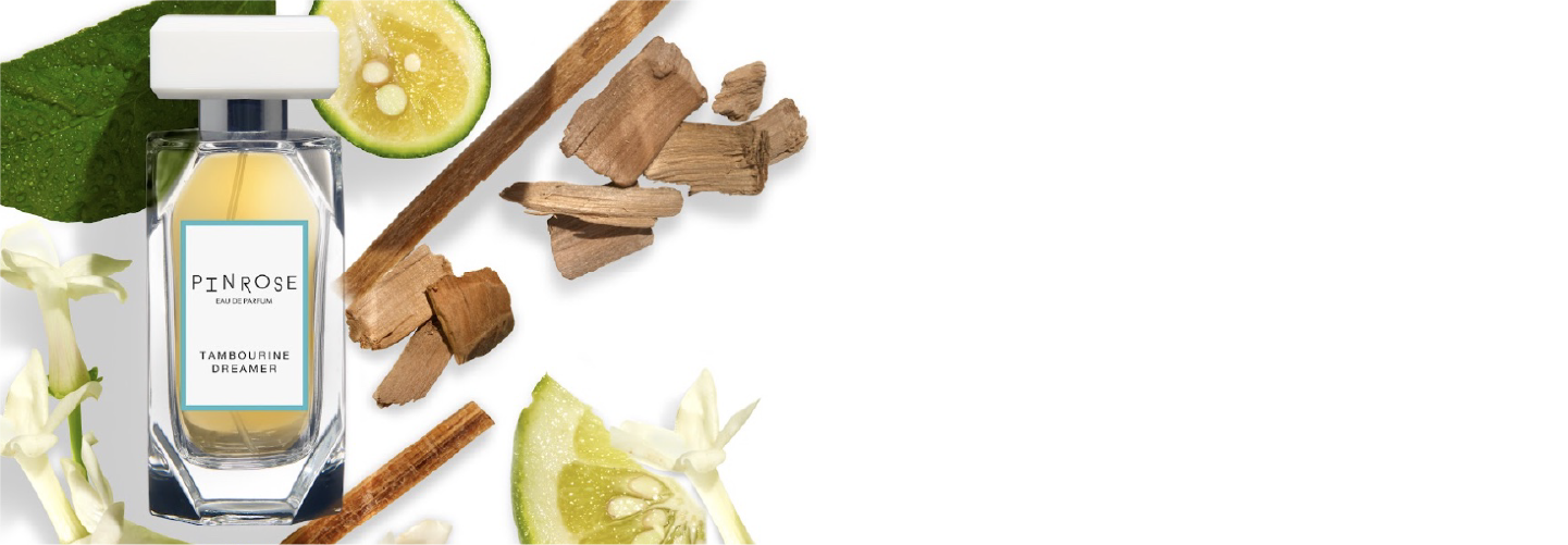 Tambourine Dreamer Pinrose